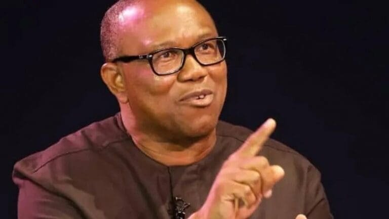2023: My party’s decision will determine if I will contest or not — Peter Obi | NN NEWS