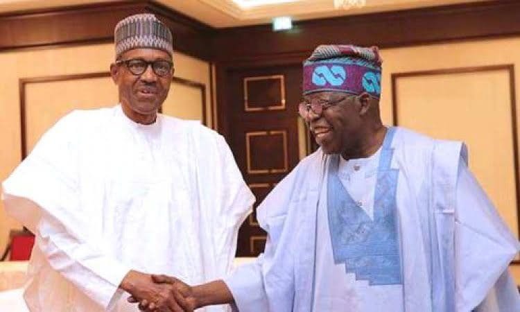 Tinubu: I have informed Buhari of my intention to run for president