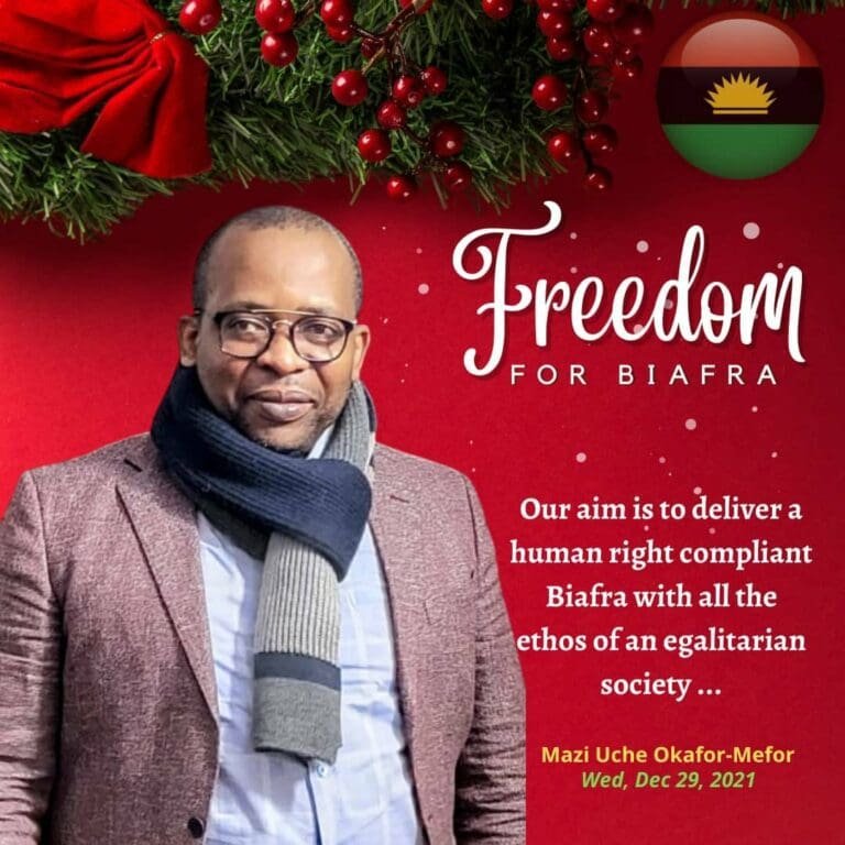 It is the turn of the Igbo-Biafrans to assume the political leadership of Nigeria if Nigeria still remains one by the year 2023 | NN NEWS