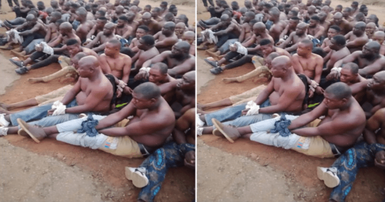Soldiers arrest 105 political thugs in Ekiti | NN NEWS