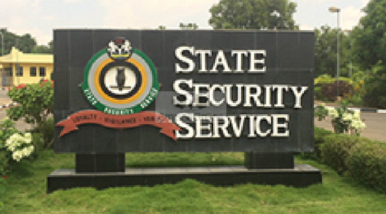 DSS, not in court against INEC Chairman – Peter Afunanya