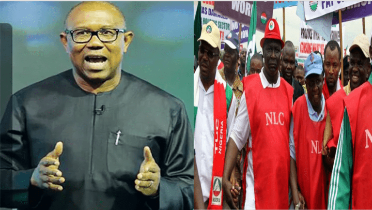 2023: NLC backing Obi, other LP candidates, says Wabba