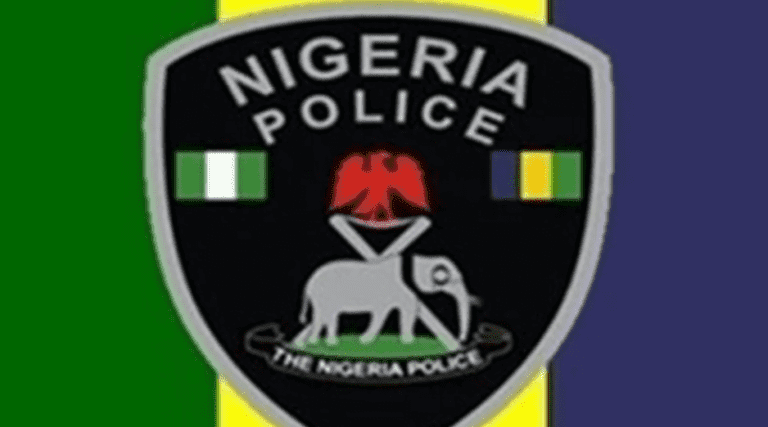 Police kill suspected gunrunners, recover arms, others in Zamfara