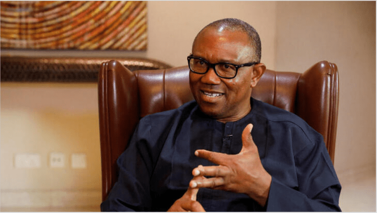 Nigerian women more productive, less corrupt than men – Obi