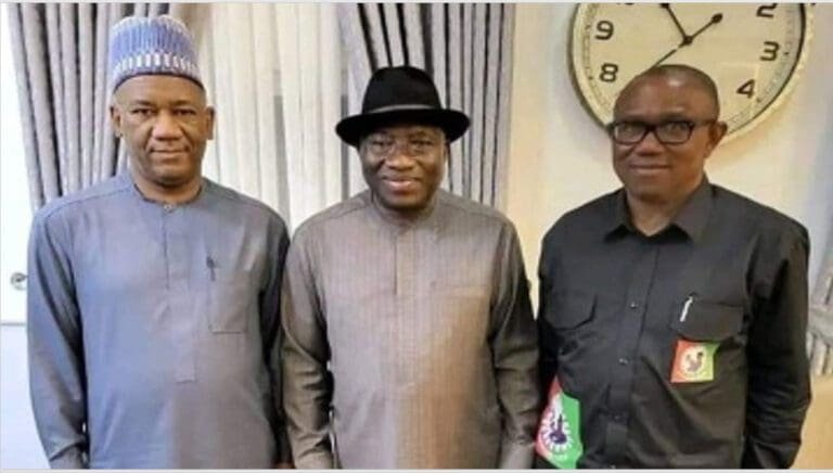 They’re killing your sacrifice for democracy, Obi tells Jonathan at 66 birthday