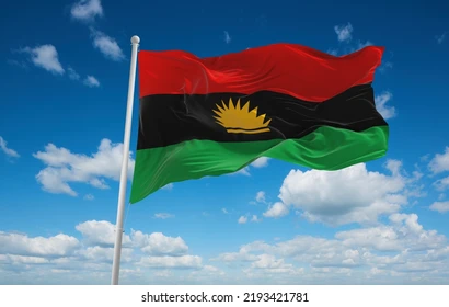 Nobody can stop elections in South-East – Biafra group