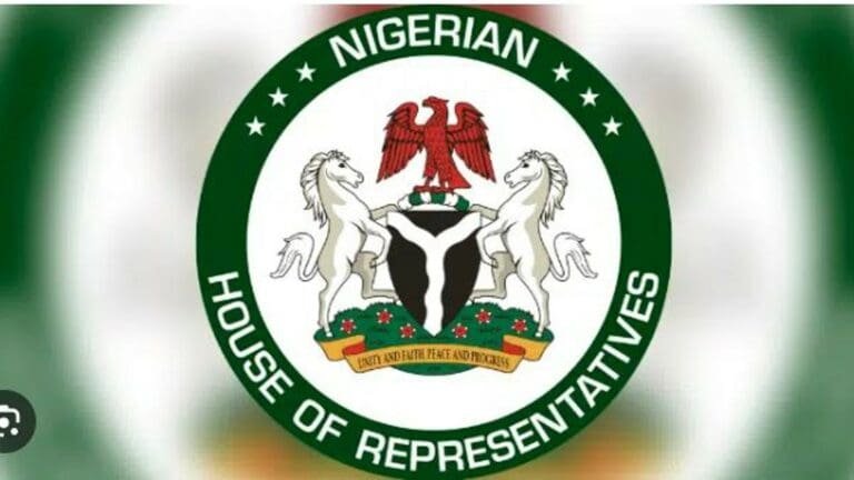 National Assembly orders re-gazetting of key tax laws over public concerns