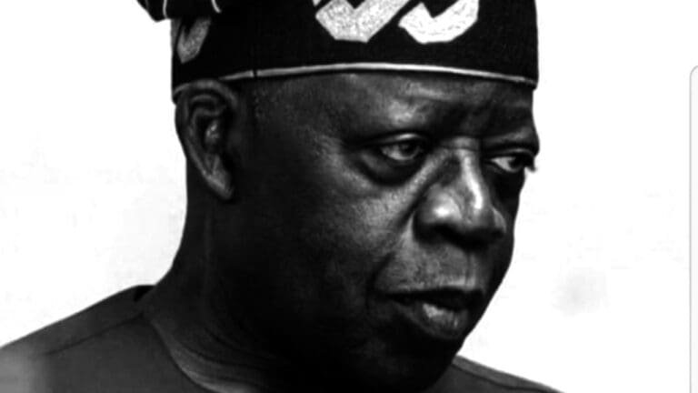 Northern Youth Coalition rejects Tinubu’s Kaduna engagement
