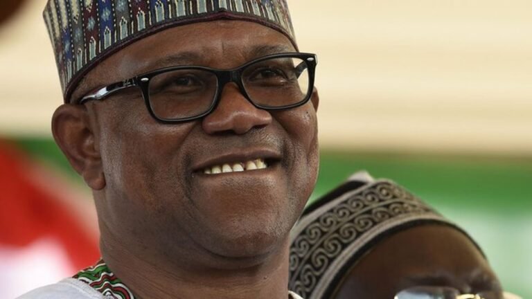 I’ve apologized to Peter Obi over Arise TV comment – International Journalist