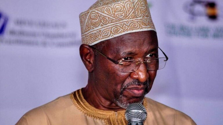 Tinubu’s tax reforms bills belong to the dustbin not fit for Nigeria — Bugaje