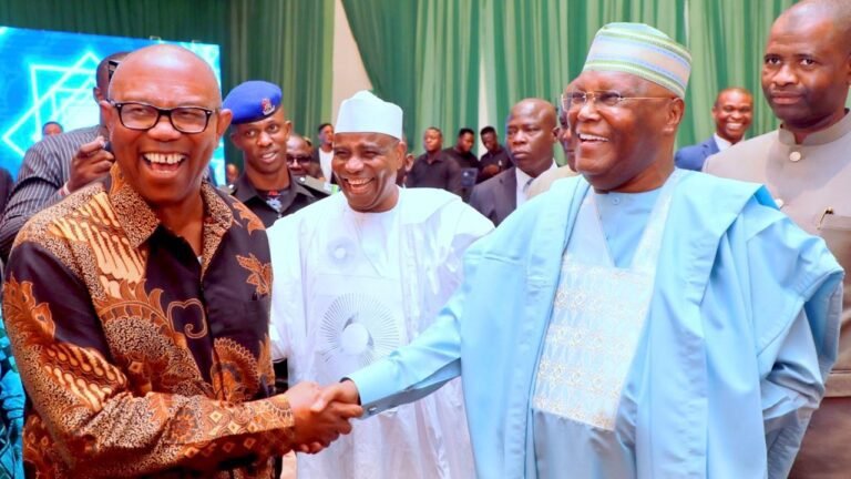 Muslim-Muslim ticket won’t fly in 2027 amidst Atiku, Obi, alliance; Jonathan also contesting – APC chieftain warns