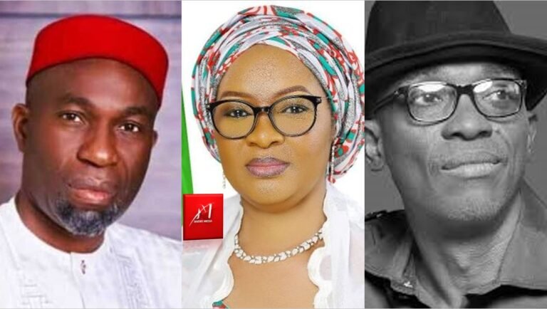 Supreme Court didn’t affirm Abure’s chairmanship, LP Caretaker Committee clarifies