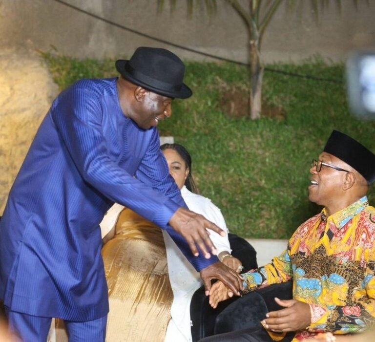 2027: Tinubu’s ministers exposing APC’s fear of Jonathan, Obi