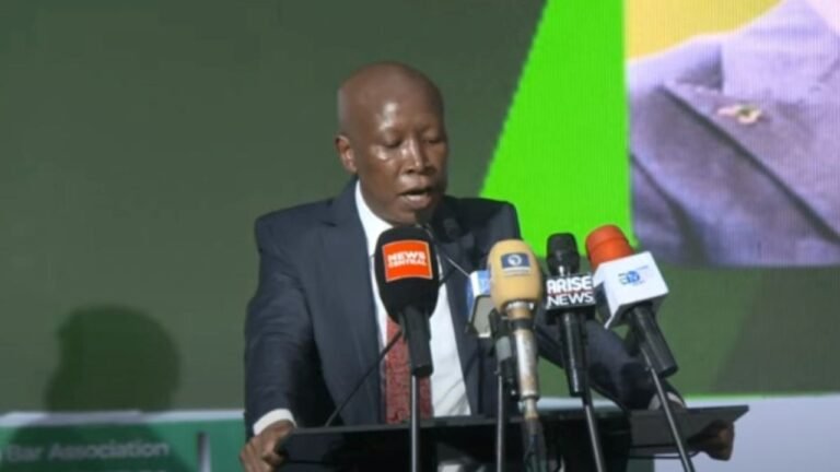 Julius Malema calls for a borderless Africa with one President, one currency, one Army