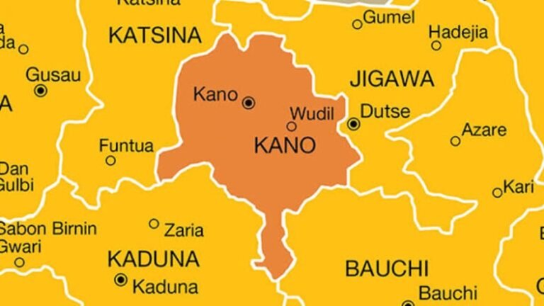 Over 100 political thugs arrested in Kano by-election, says electoral commissioner