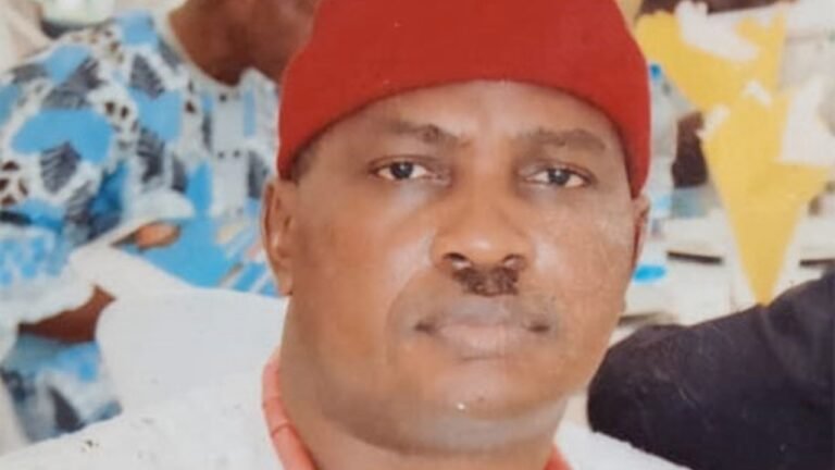 Creation of Anioma State will promote fairness, equity in South East — Oganah