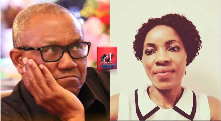 Follow coalition rules or be rejected nationwide: Nistoran cautions Peter Obi ahead of 2027