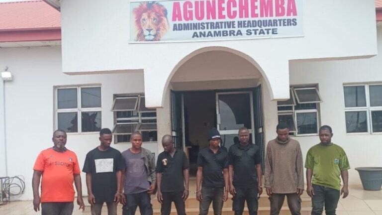 Justice for Jennifer: Eight vigilantes sacked for stripping female NYSC member